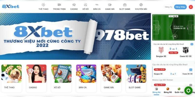 Định nghĩa điều khoản và điều kiện 8xbet